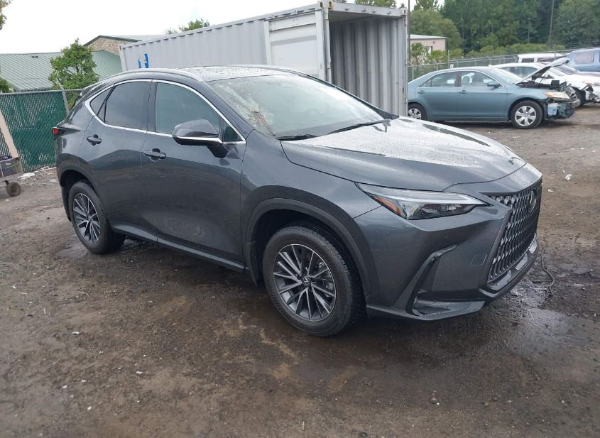 2025 LEXUS NX 350H PREMIUM photo