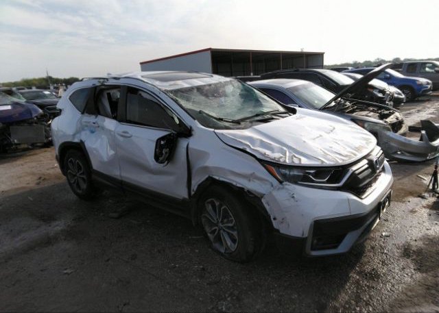 2022 HONDA CR-V (VIN: 7FARW1H84NE008346)