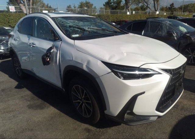 2024 LEXUS NX (VIN: JTJAKCEZ3R5009554)