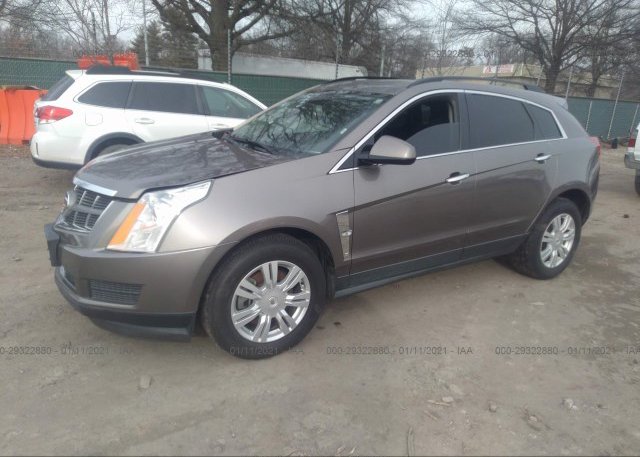 из сша 2011 CADILLAC SRX 3GYFNGEY1BS586667