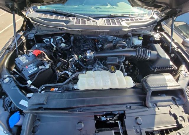 2021 FORD F-150(VIN: 1FTMF1CB9MKF08979