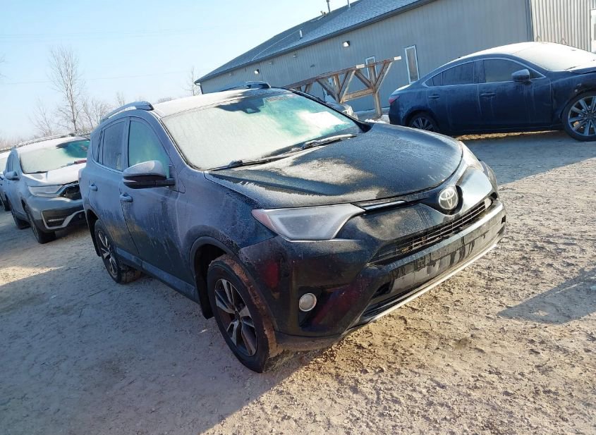 2018 TOYOTA RAV4 XLE photo