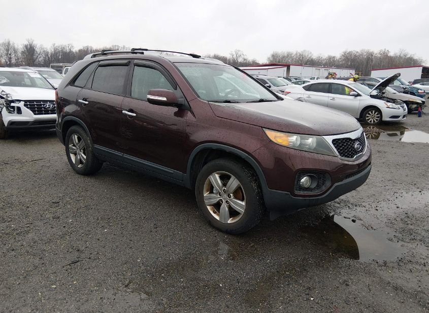 2013 KIA SORENTO EX photo