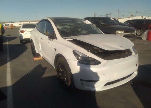 2023 TESLA MODEL Y (VIN: 7SAYGDEE8PA024908)