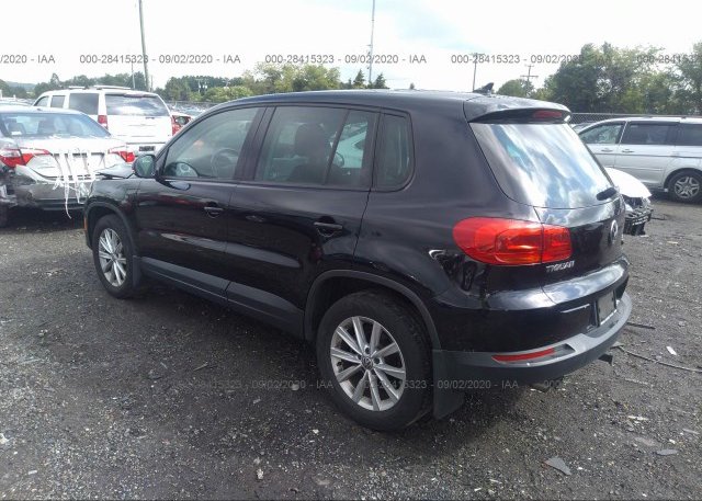купить 2014 VOLKSWAGEN TIGUAN WVGBV3AX8EW539568