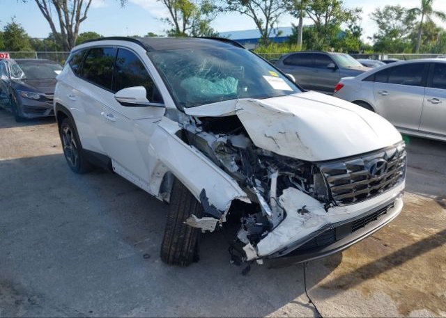 2023 HYUNDAI TUCSON (VIN: 5NMJECAE1PH176194)