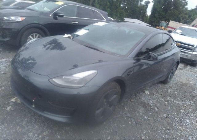 2022 TESLA MODEL 3(VIN: 5YJ3E1EB2NF274534