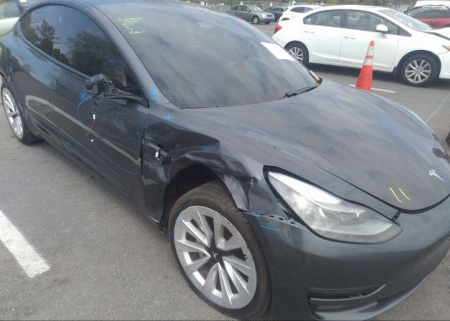 2021 TESLA MODEL 3(VIN: 5YJ3E1EAXMF042737