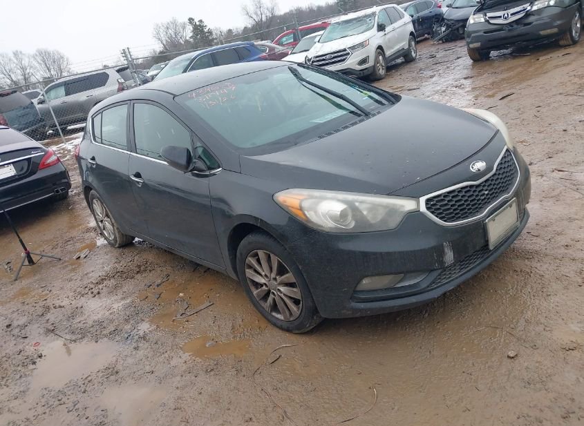 2015 Kia Forte 2.0L photo