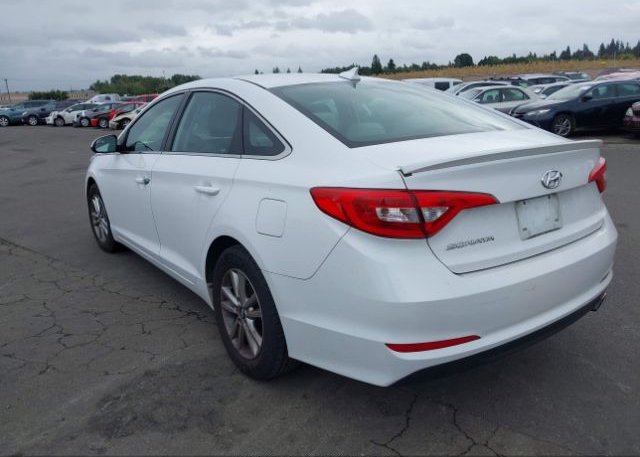 5NPE24AF5HH462644 2017 HYUNDAI SONATA-2