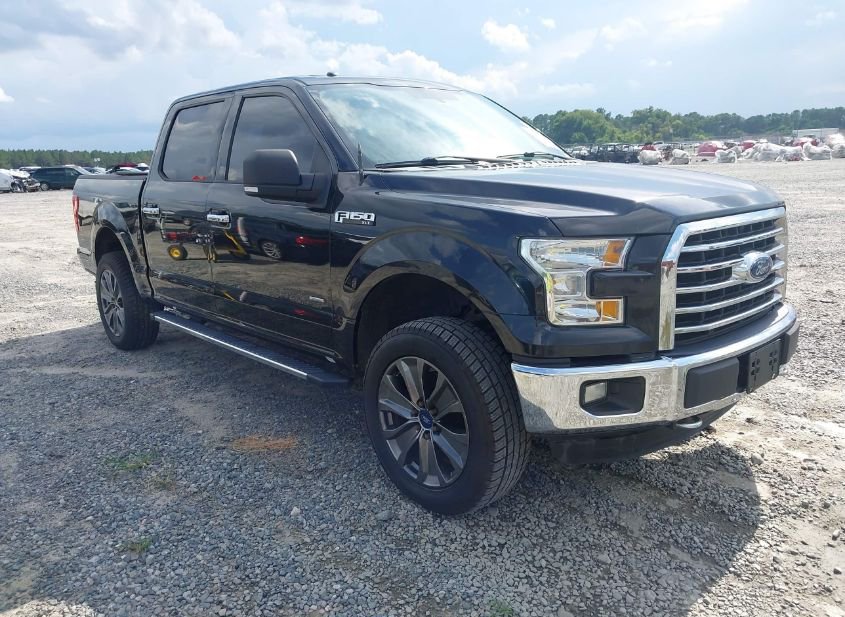 2015 FORD F-150 XLT photo