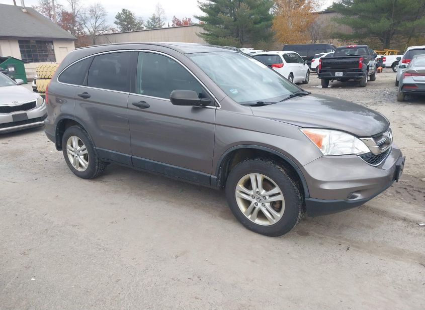 2010 HONDA CR-V EX photo