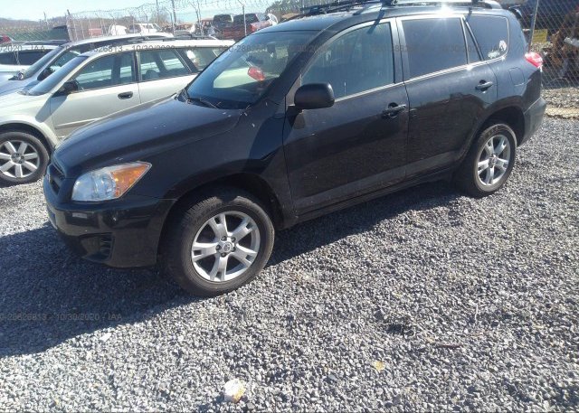 из сша 2012 TOYOTA RAV4 2T3BF4DV0CW192086
