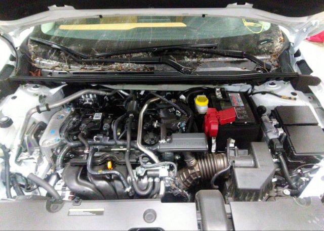 2023 NISSAN SENTRA(VIN: 3N1AB8CV9PY227341