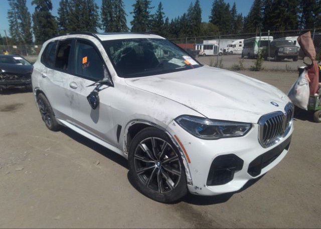 2022 BMW X5 (VIN: 5UXCR6C00N9M60424)
