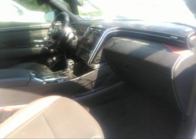 2023 HYUNDAI SANTA CRUZ(VIN: 5NTJEDAF3PH056531