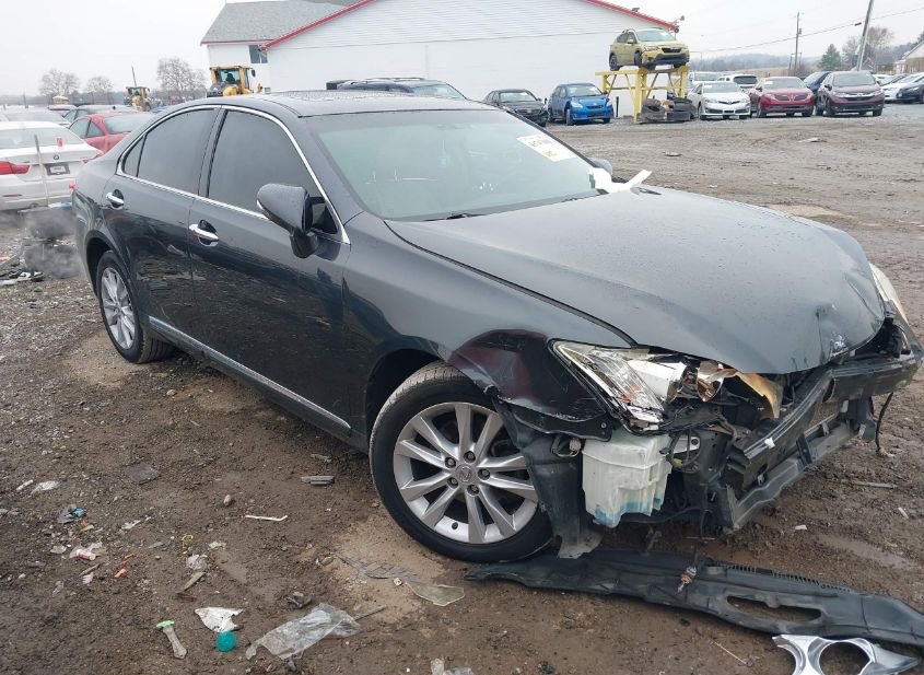 2010 LEXUS ES 350 photo