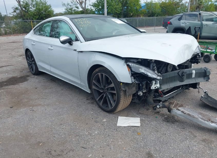 2024 AUDI S5 SPORTBACK PREMIUM PLUS TFSI QUATTRO TIPTRONIC photo