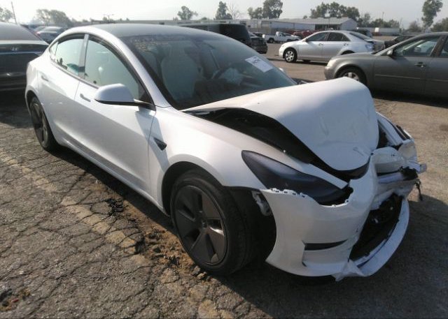 2023 TESLA MODEL 3 (VIN: 5YJ3E1EA3PF563755)