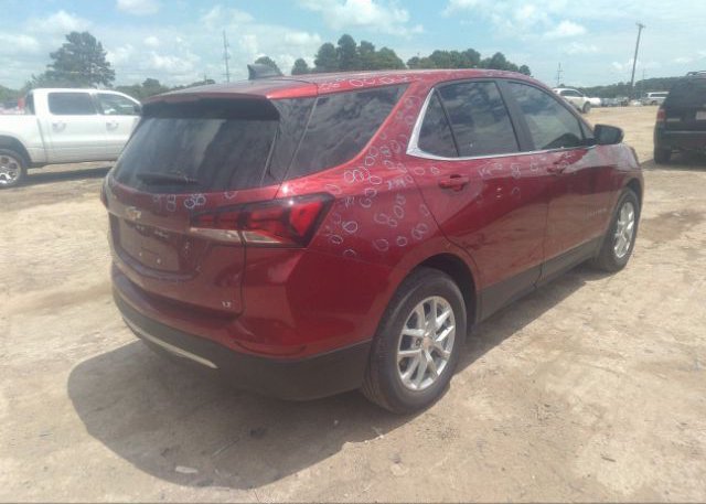 2023 CHEVROLET EQUINOX(VIN: 3GNAXKEG5PS158409