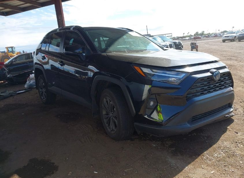 2024 TOYOTA RAV4 HYBRID XLE PREMIUM photo