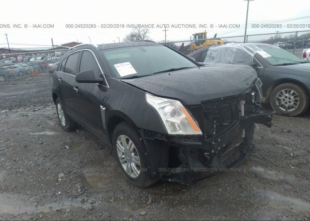 1gyee637360125449 Clear Burgundy Cadillac Srx At New Port Richey