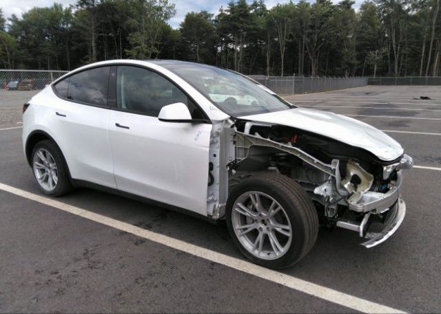 2023 TESLA MODEL Y (VIN: 7SAYGDEE7PA093119)
