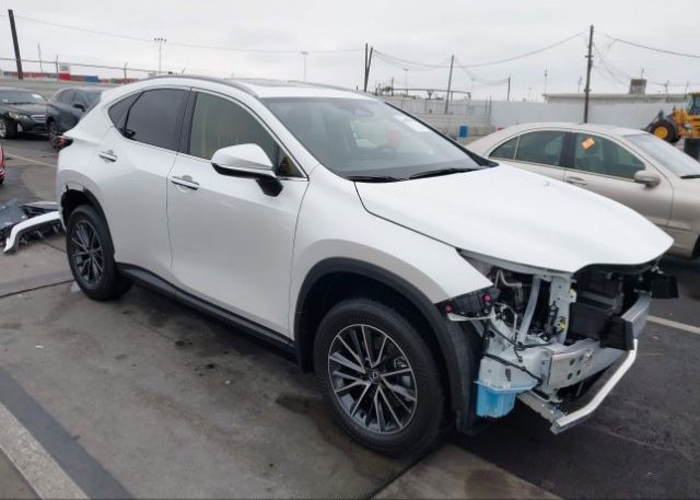 2025 LEXUS NX 250 BASE/250 PREMIUM (VIN: JTJADCAZ1S5024401)