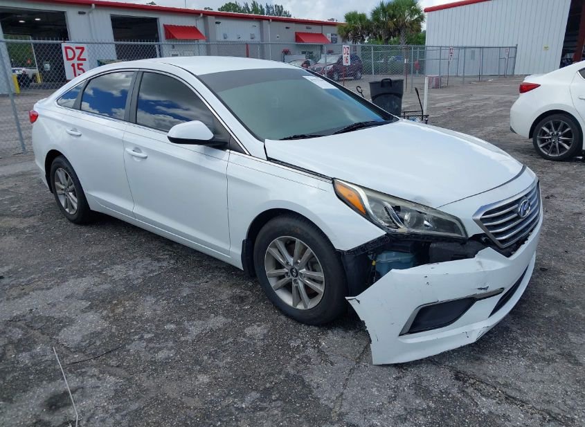 2017 HYUNDAI SONATA photo