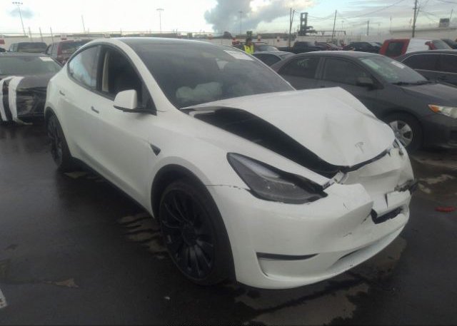 2023 TESLA MODEL Y (VIN: 7SAYGDEF5PF623549)