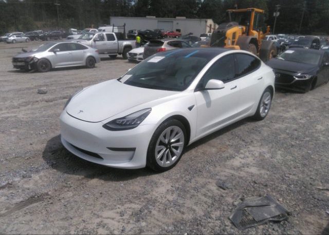 2022 TESLA MODEL 3(VIN: 5YJ3E1EB3NF244345