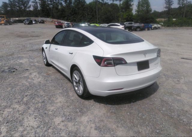 2022 TESLA MODEL 3(VIN: 5YJ3E1EB3NF244345