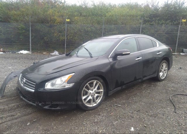 из сша 2011 NISSAN MAXIMA 1N4AA5AP9BC854888