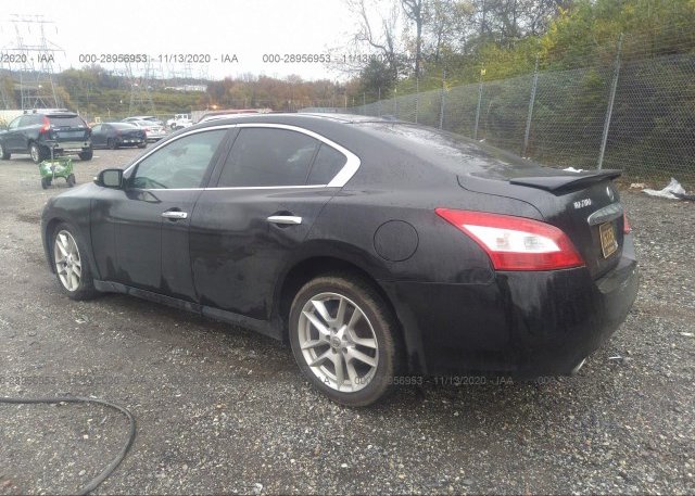 купить 2011 NISSAN MAXIMA 1N4AA5AP9BC854888