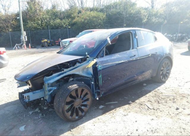 2022 TESLA MODEL Y(VIN: 7SAYGDEF8NF460070