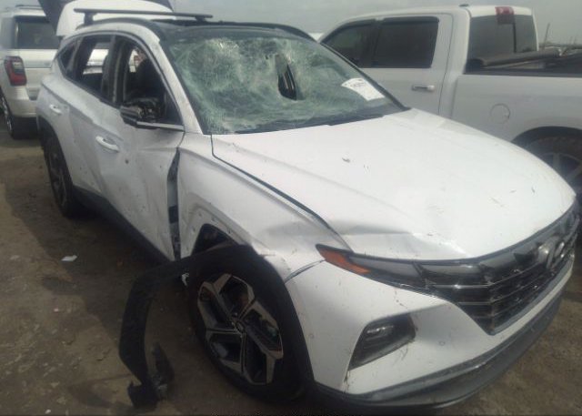 2023 HYUNDAI TUCSON (VIN: 5NMJE3AE2PH182683)