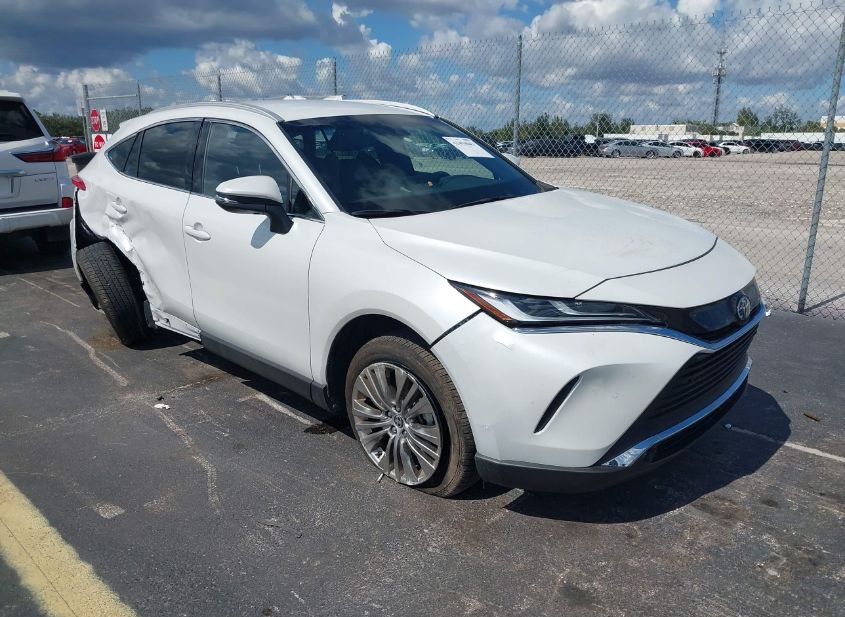 2024 TOYOTA VENZA XLE photo