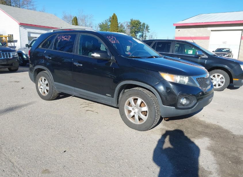2011 KIA SORENTO LX photo