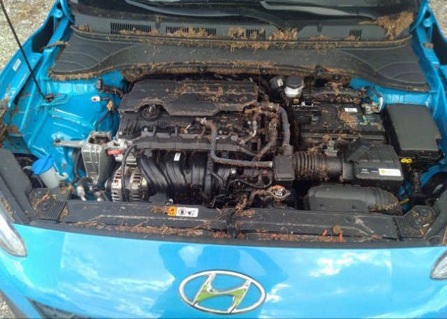 2022 HYUNDAI KONA(VIN: KM8K62AB6NU882841