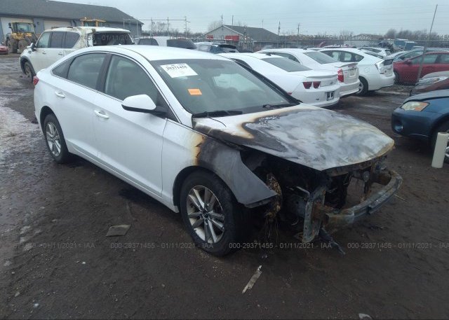 5NPE24AF5FH131592 2015 HYUNDAI SONATA