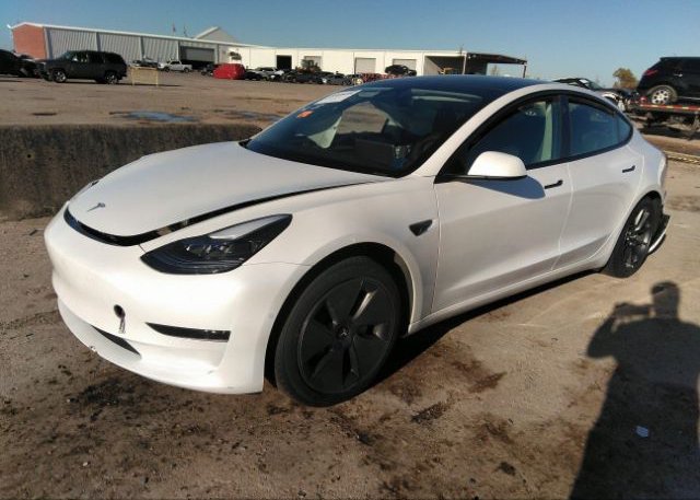 2021 TESLA MODEL 3(VIN: 5YJ3E1EA1MF996096