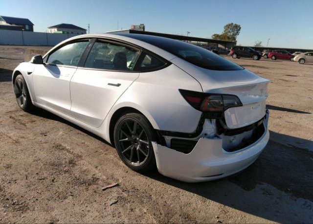 2021 TESLA MODEL 3(VIN: 5YJ3E1EA1MF996096