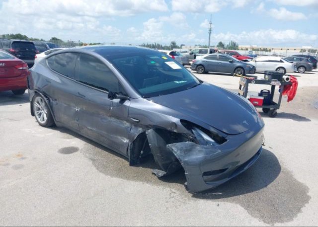 2023 TESLA MODEL Y (VIN: 7SAYGDEE4PF707336)