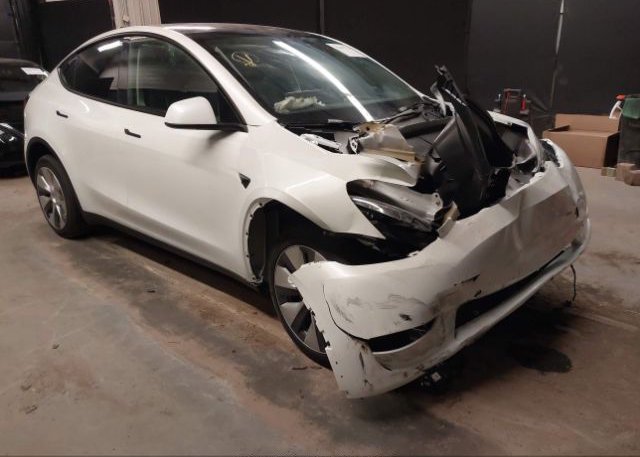 2023 TESLA MODEL Y (VIN: 7SAYGDEE6PF759440)