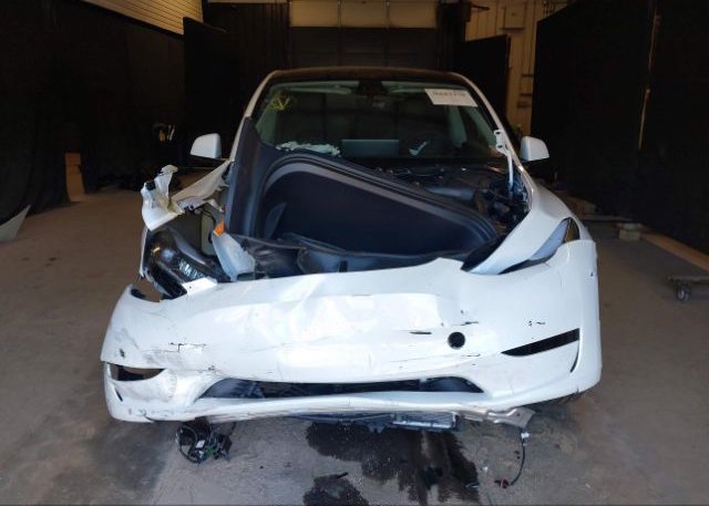 2023 TESLA MODEL Y(VIN: 7SAYGDEE6PF759440