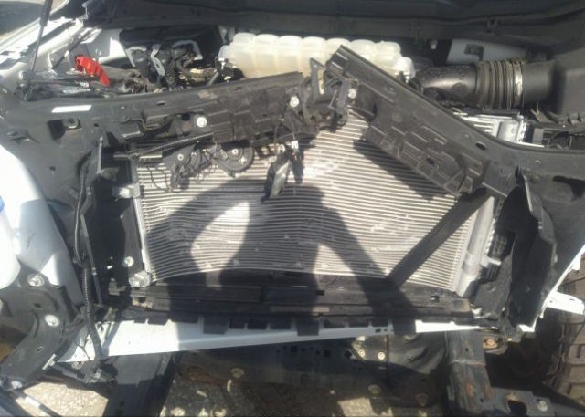 2022 FORD F-150(VIN: 1FTEW1EB4NKE44210