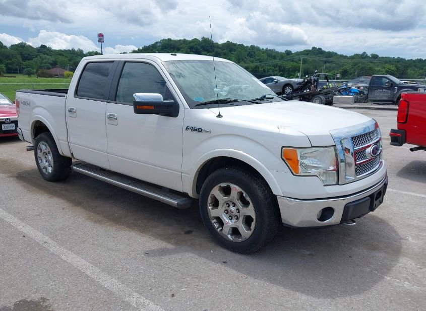 2010 FORD F-150 FX4/HARLEY-DAVIDSON/KING RANCH/LARIAT/PLATINUM/XL/XLT photo