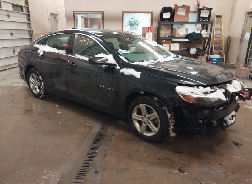 2023 CHEVROLET MALIBU FWD 1LT photo