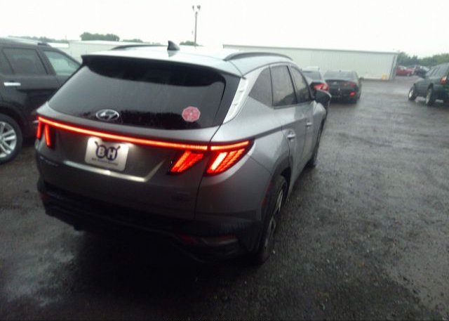 2023 HYUNDAI TUCSON(VIN: 5NMJFCAE1PH161546