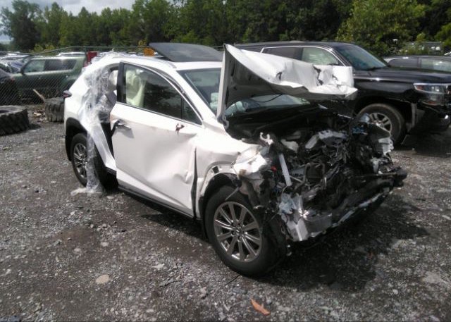 2021 LEXUS NX (VIN: JTJDARDZ9M5019387)